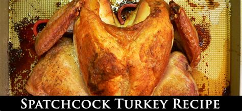 spatchcock turkey recipe taste of southern
