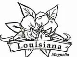 Louisiana Coloring Flower Pages Drawing Flowers Color State Magnolia Printable Supercoloring Kids Print Getdrawings Getcolorings Printables Colorings Crafts Choose Board sketch template