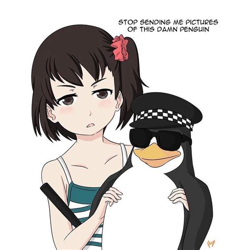 stop posting   anime penguin animemes