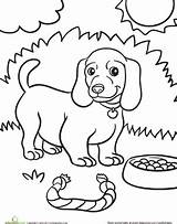 Colouring Weiner Canine Hunde Designlooter sketch template