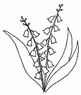 Muguet Coloriage Coloriages Colorat Flori Lacramioare Kwiaty Wiosenne Cu Colorier Imprimer 1er Brin Planse Kolorowanki Dzieci Desene Chezcolombes Mescoloriages sketch template