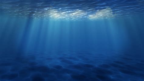 bluey underwater
