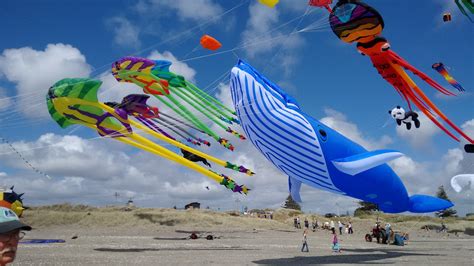 kite festival  otaki beach photo