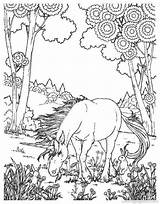 Coloring Realistic Unicorn Pages Fantasy Getdrawings sketch template