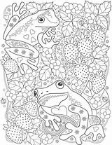 Coloring Frog Pages Adult Zentangle Adults Printable Color Mandala Cute sketch template