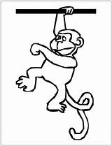Alphabet Coloring Monkey Pages Choose Board sketch template
