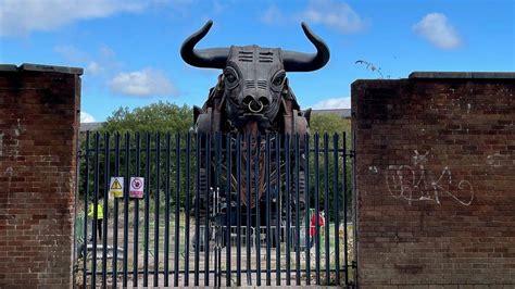 birmingham commonwealth games bull named  ozzy osbourne bbc news