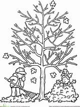 Thema Herfst Otoño Bomen Leaf Bare Lijn Knutselen sketch template