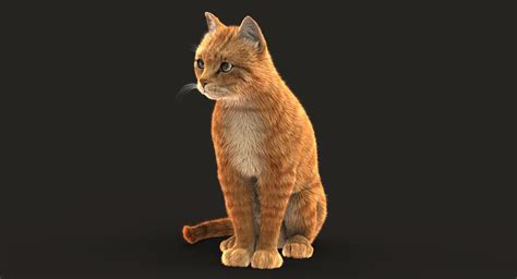 Blender 3d Models Cat