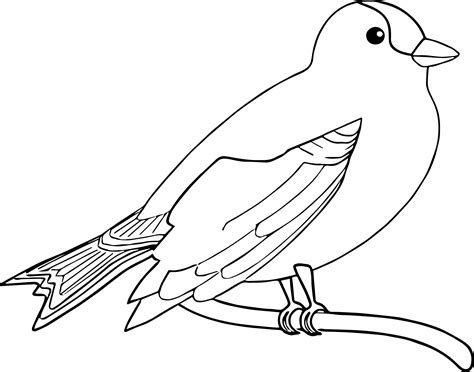 bird coloring page wecoloringpagecom