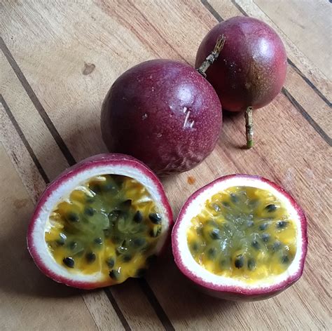 Passiflora Edulis – Possum Purple – Edible Purple Passion Fruit Plant