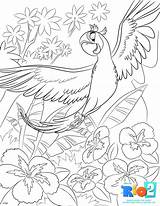 Rio Coloring Pages Printable Blu Sheets Para Colorear Rio2 Print Kids Colouring Movie Color Disney Bird Printables Cartoon Dibujos Drawings sketch template