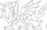 Flag Welsh Dragon Coloring Pages Colouring Printable Wales Print Dragons Getdrawings Getcolorings Color sketch template