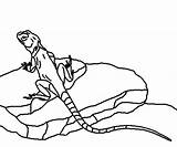 Coloring Lizard Collared Kids Reptile Lines sketch template