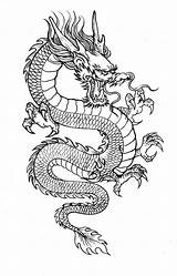 Tattoo Dragon Line Drawing Japanese Chinese Thin Sketch Dragons Simple Tattoos Stencil Small Women Instagram Leg sketch template