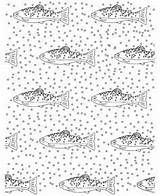 Adult Coloring Colouring Trout Printmaking Printables Templates Brown Pattern Print sketch template