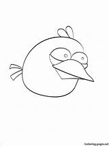 Coloring Pages Bird Blue Getcolorings sketch template
