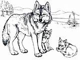 Wolf Ausdrucken Howling Ausmalbilder Kostenlos Wolves Brandmalerei Ausmalen Getcolorings Adler Sheets Wolfs Vorlagen Getdrawings Malvorlagen sketch template