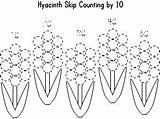 Hyacinth Designlooter 10s sketch template