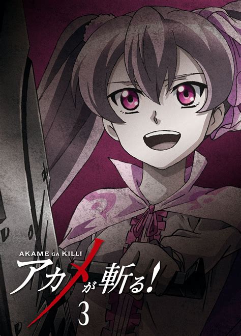Blu Ray Volume 3 Akame Ga Kill Animevice Wiki Fandom