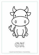 Ox Tracing Colouring Designlooter Trace sketch template