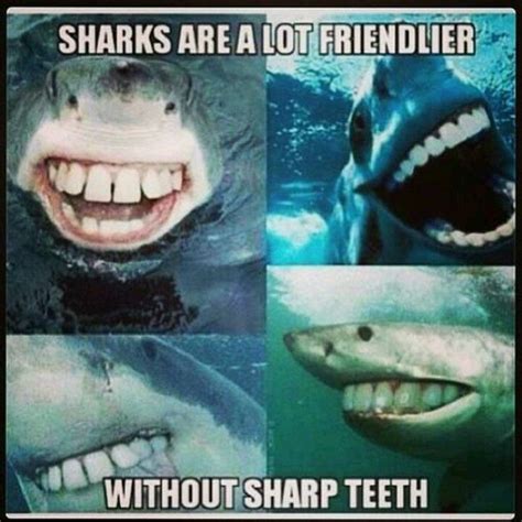 Ridiculous Lol Sharks Sharks Funny Shark Memes Bones Funny