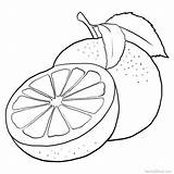 Naranjas Pintar Grapefruit sketch template