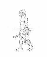 Human Homo Erectus Evolution Habilis Menselijke Embryo Menselijk Dierlijk Europe Australopithecus sketch template