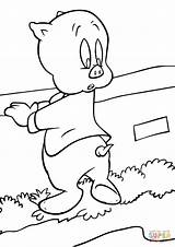 Porky Pig Coloring Pages Tunes Looney Printable Color Baby Drawing Getcolorings Popular Kids sketch template