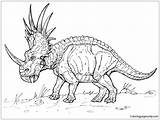 Styracosaurus Dinosaur Pages Coloring Color Printable Online Coloringpagesonly sketch template