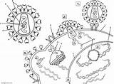 Hiv Coloring Virus Worksheet Infects Biology Pages Color Biologycorner Cell Worksheets Diagram Sketch Immune Graphic Work System Book Cells Publisher sketch template