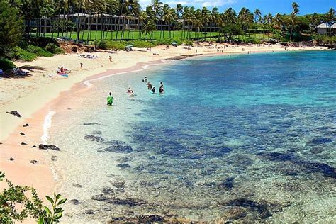 maui snorkeling guide  beaches  visit