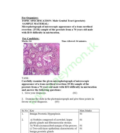 Medical College Stuff 4th Year Mbbs Pathology Special Pathology Ospe