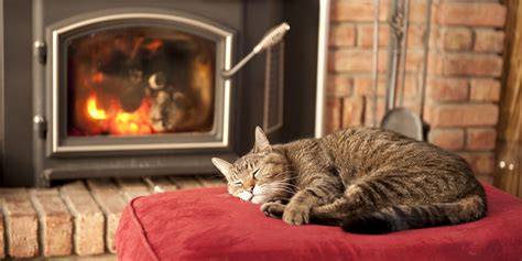 9 Unusual Ways To Keep Your Home Warm Without Turning Up