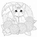 Pages Cat Mandala Coloring Animals Rainbow Adults Nature Kitty sketch template