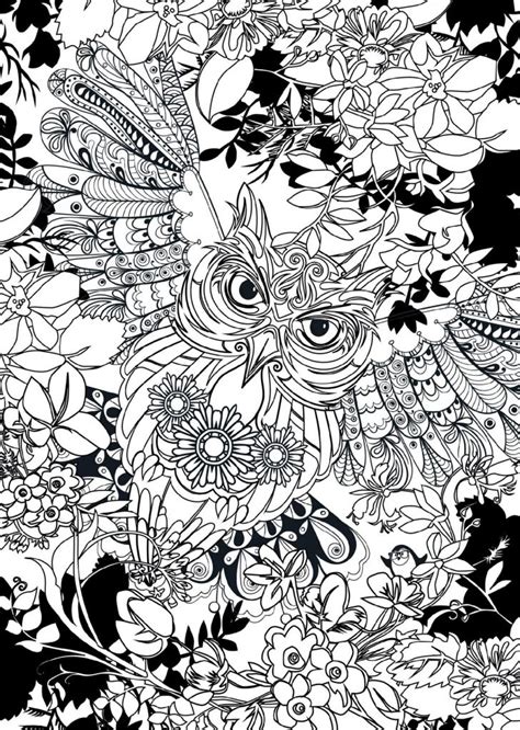 pin  adults coloring pages