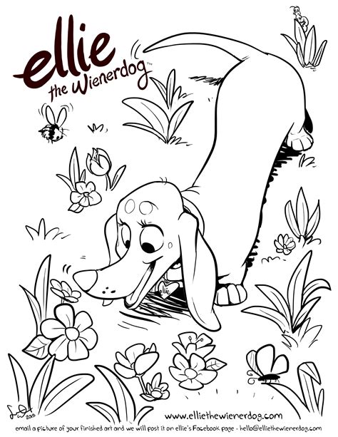 ellie  wienerdog  spring coloring page spring coloring pages dog