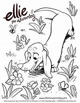 Coloring Pages Ellie Dog Spring Colouring Choose Board Wienerdog Puppies sketch template
