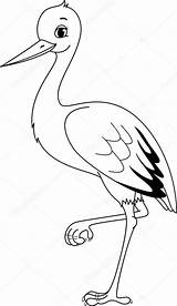 Bocian Kolorowanki Bociany Storch Stork Przedszkole Malvorlage sketch template