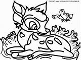 Ausmalbilder Tiere Tierbabys Malvorlagen Einzigartig Herbst Arche Vorstellung Ganzes Okanaganchild Wasser Kinderbilder Malvorlage sketch template