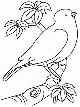 Bird Printable Coloring Drawing Clipart Pages Birds Kids Scenery Library sketch template