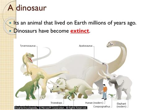 Ppt What Can We Learn From Fossils Powerpoint