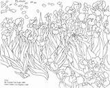 Gogh Van Coloring Pages Irises Printable Colouring Drawing Getdrawings Choose Board Sunflower sketch template