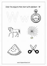 Color Alphabet Things Megaworkbook Starting Objects Start Only Worksheet sketch template