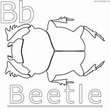 Beetle Coloring Pages Getcolorings sketch template