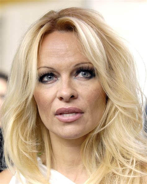 hollywood all stars pamela anderson pictures profile and