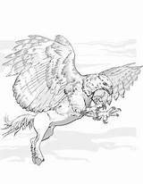 Centaur Hippogriff Grifo Dnd Kolorowanki Griffin Maravilhoso Druku Dragons Buckbeak Drukuj sketch template