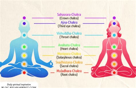 The 7 Chakras According To Tantra Yoga