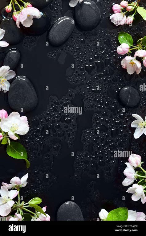 spa stones  pink flowers  black background  water spa concept