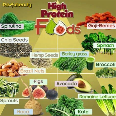 high protien foods healthy clean eats protein foods health nutrition high protein recipes